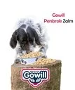 Gowill Persbrok Zalm