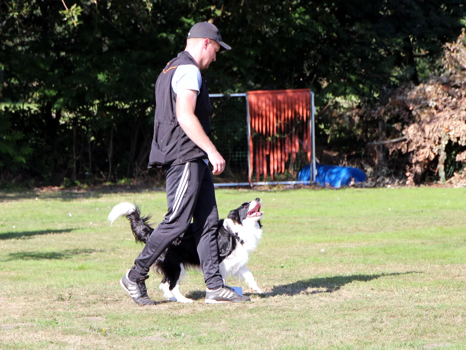 BoogieWoogieTails - wedstrijdtraining