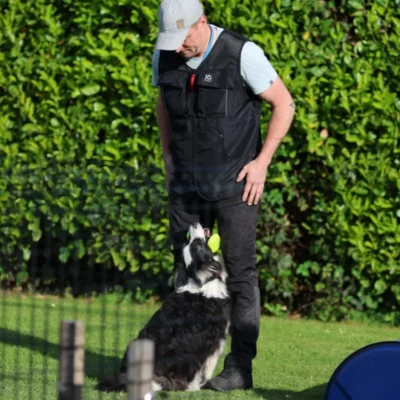 sectie 4B met john, bij Boogiewoogietails