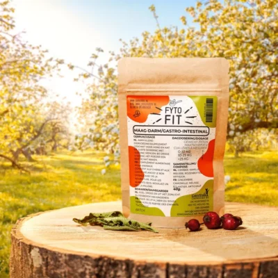 Fyto-fit supplement Maag-Darm 40gr
