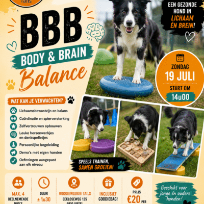 BBB - Body & Brains in Balance (summercamp edition)
