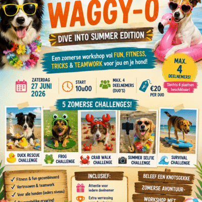 Woogie's WAGGY-O Workshop : Dive into Summer Edition! (maandag 06/07)
