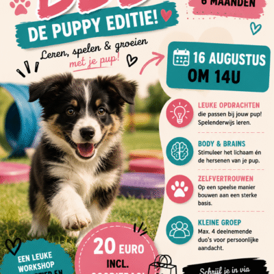 BBB - Body & Brains in Balance - De Puppy Editie!