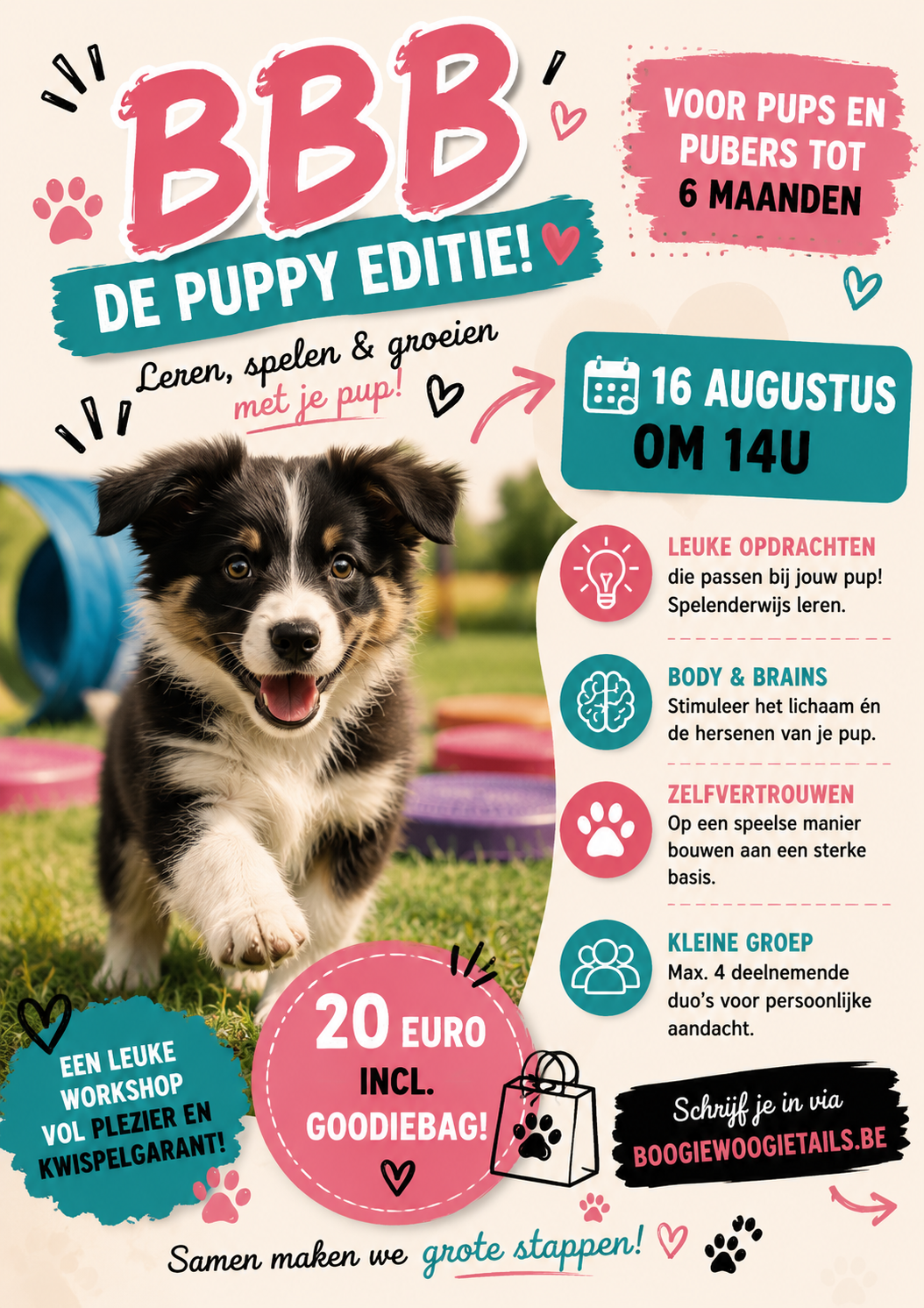 BBB - Body & Brains in Balance - De Puppy Editie!
