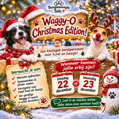 🎄 WAGGY-O KERST– Santa's Crazy Christmas 🎄 22/12 - 19uur